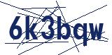 CAPTCHA code